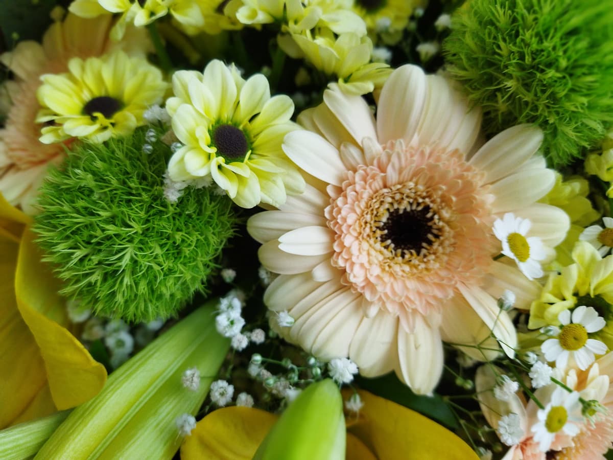 Floristería Olmo en Pontedeume